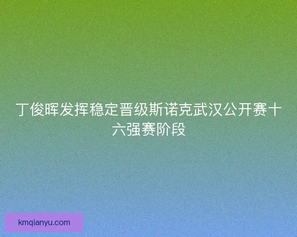 丁俊晖发挥稳定晋级斯诺克武汉公开赛十六强赛阶段